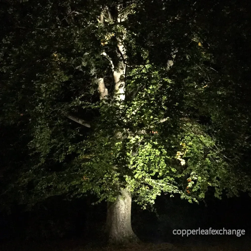 Markspotlight Castor LightsOn - Bild 3