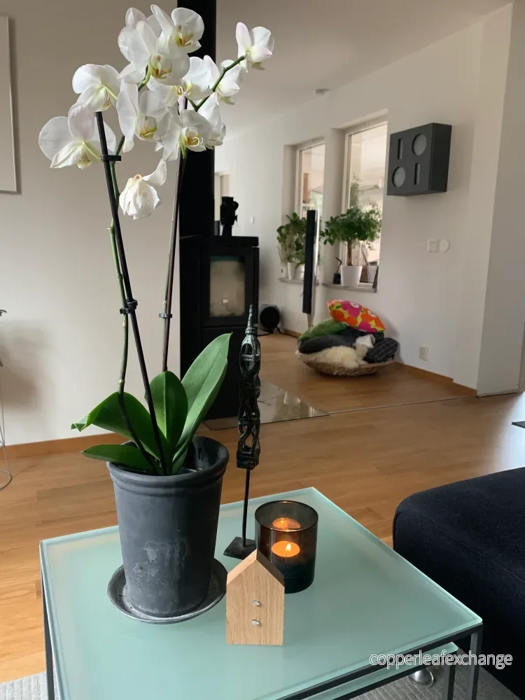 MANUELL® h11 ek - Bild 3