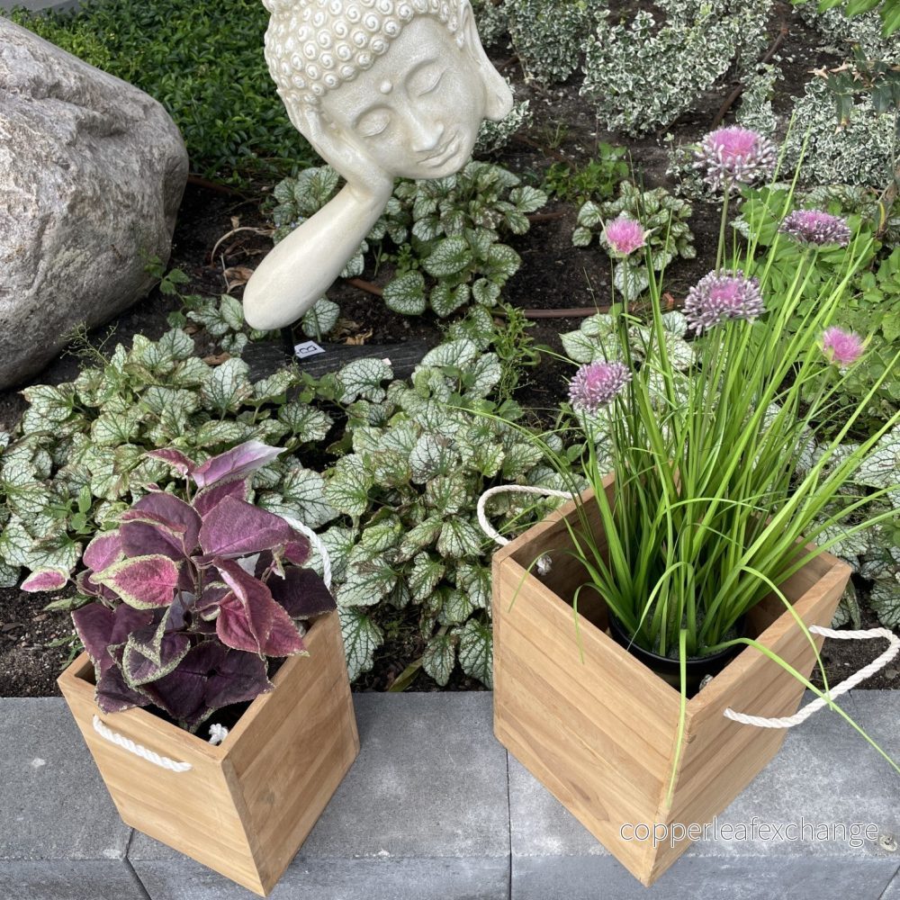 Maui Växtkassar Teak Set 2 - Vita Rephandtag