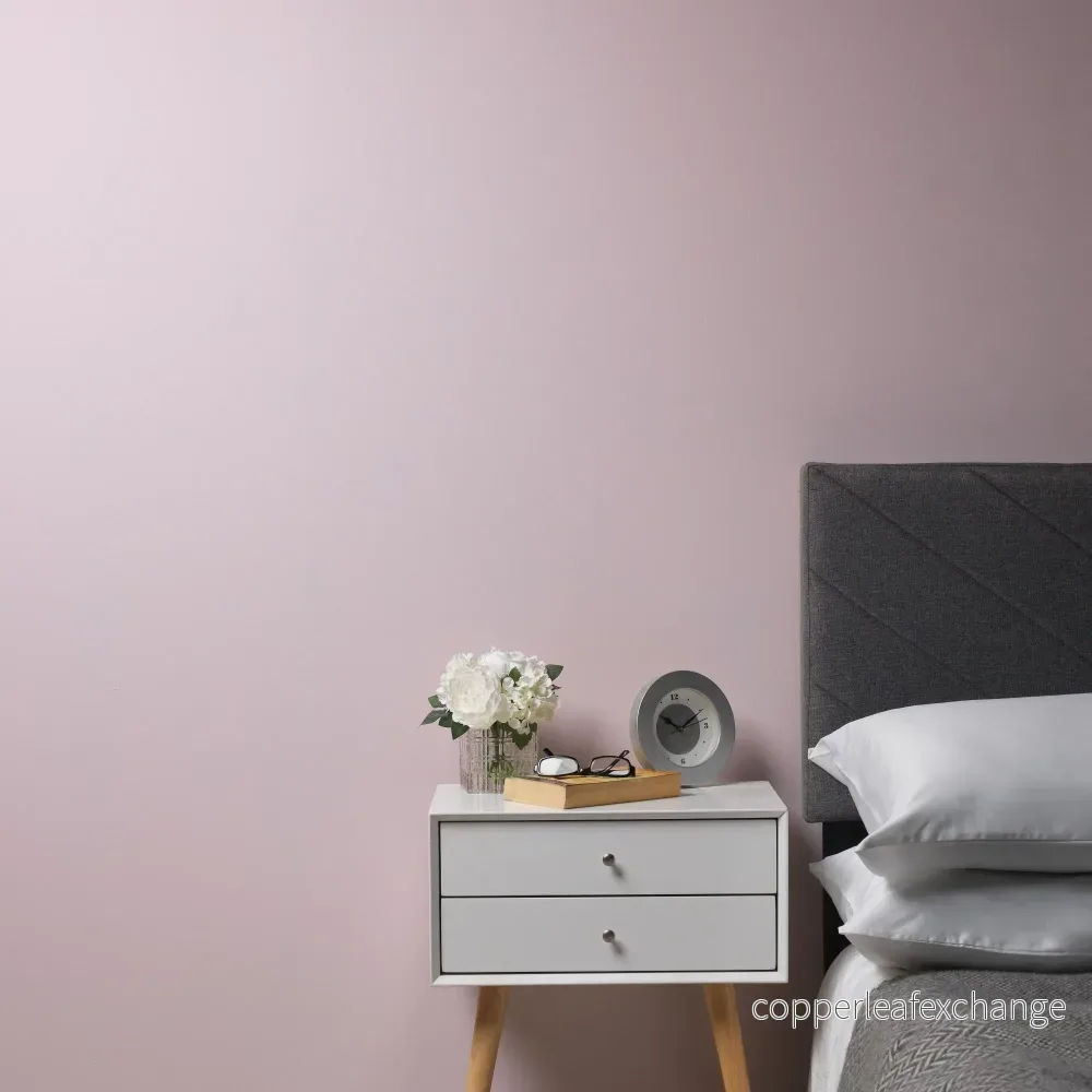 Ballerina - pastellrosa Trim Paint
