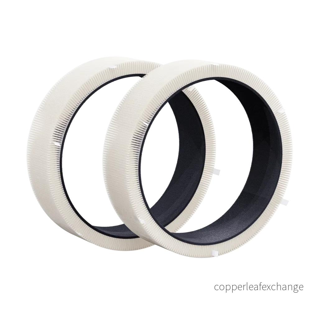 Partikelfilter 2-pack