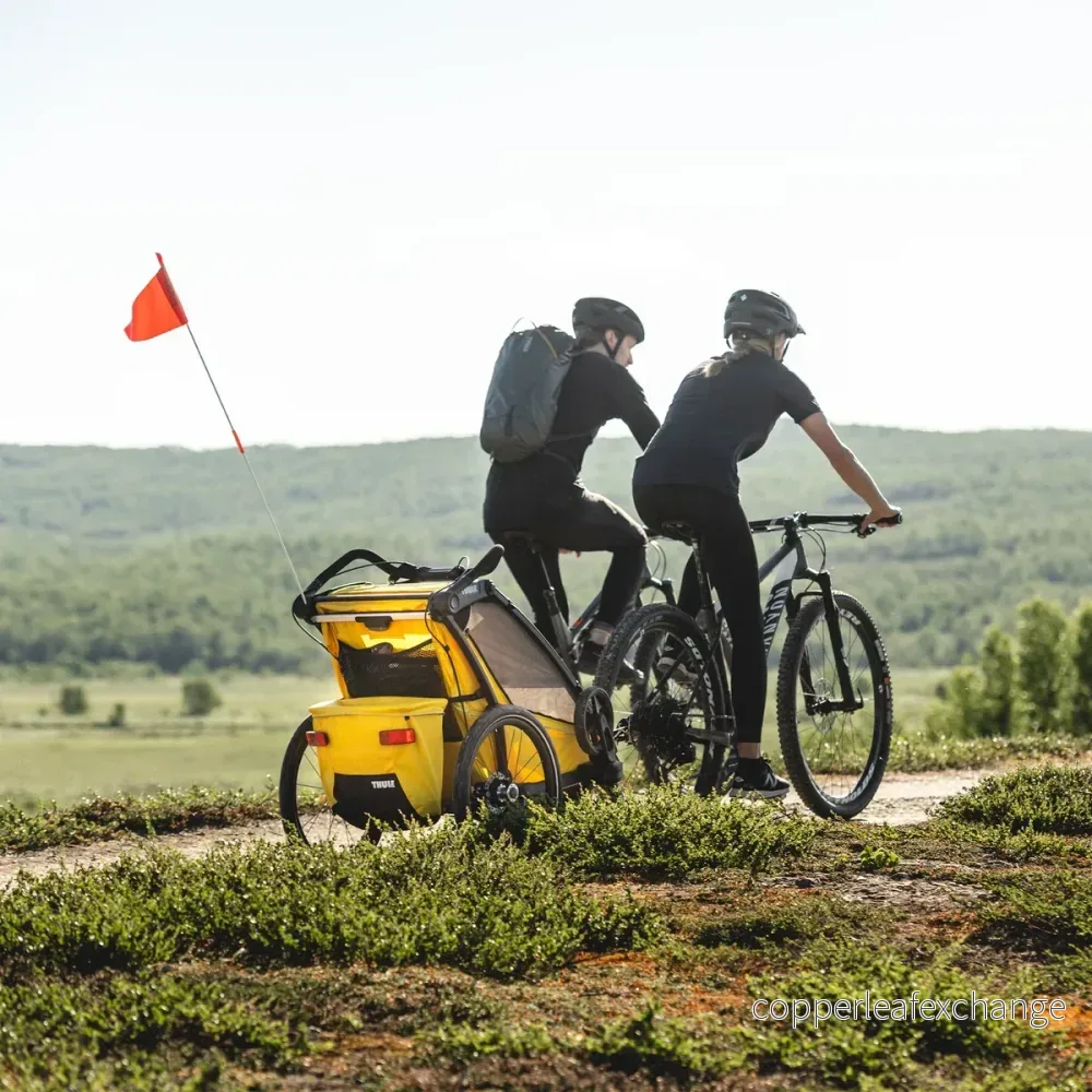 Thule Chariot Sport Dubbel - Bild 3