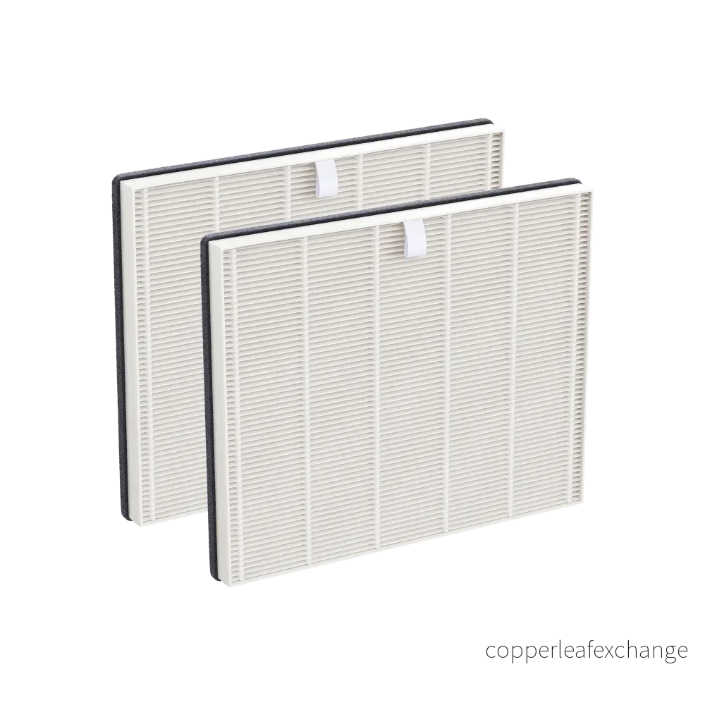 Dry filter 2-pack