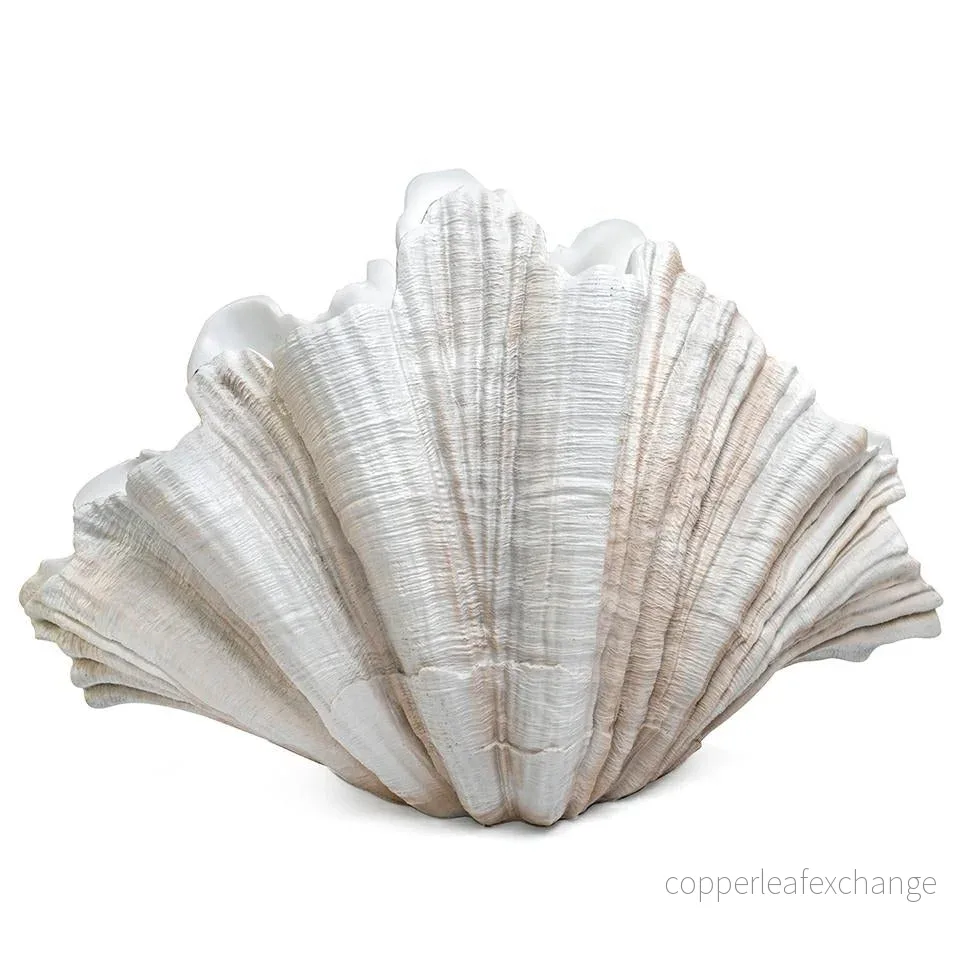Vas KARE DESIGN – CONCHA, 57 cm Vas KARE DESIGN – CONCHA, 57 cm