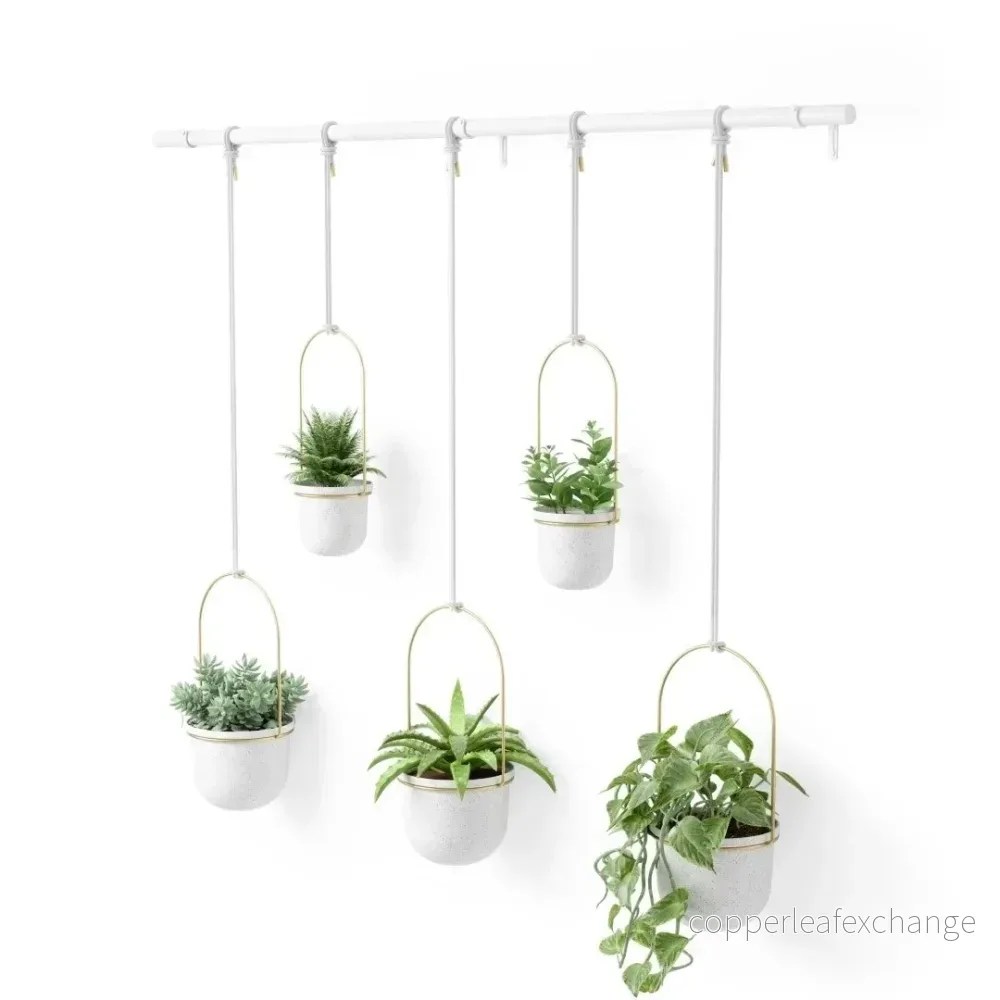 Hängande krukor 5 st UMBRA – TRIFLORA 5 LARGE, vit/mässing Hängande krukor 5 st UMBRA – TRIFLORA 5 LARGE, vit/mässing