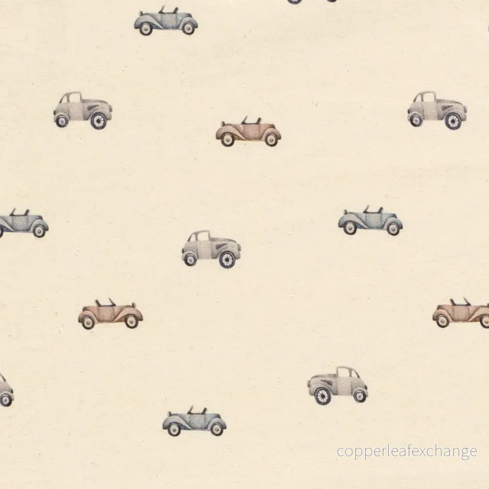 Bionatural cotton jersey Vintage cars