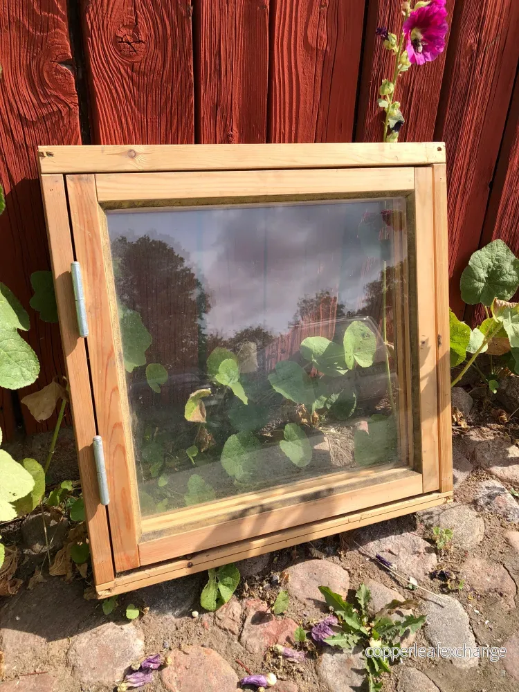 Fönster med karm 59×59