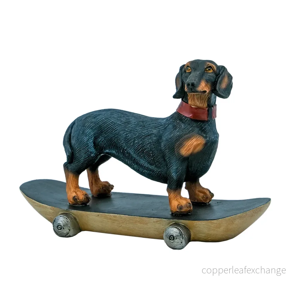 Hund på skateboard Hund på skateboard
