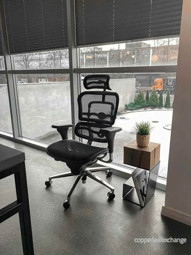 Kontorsstol - ERGO, Ergonimisk, Svart - Bild 2