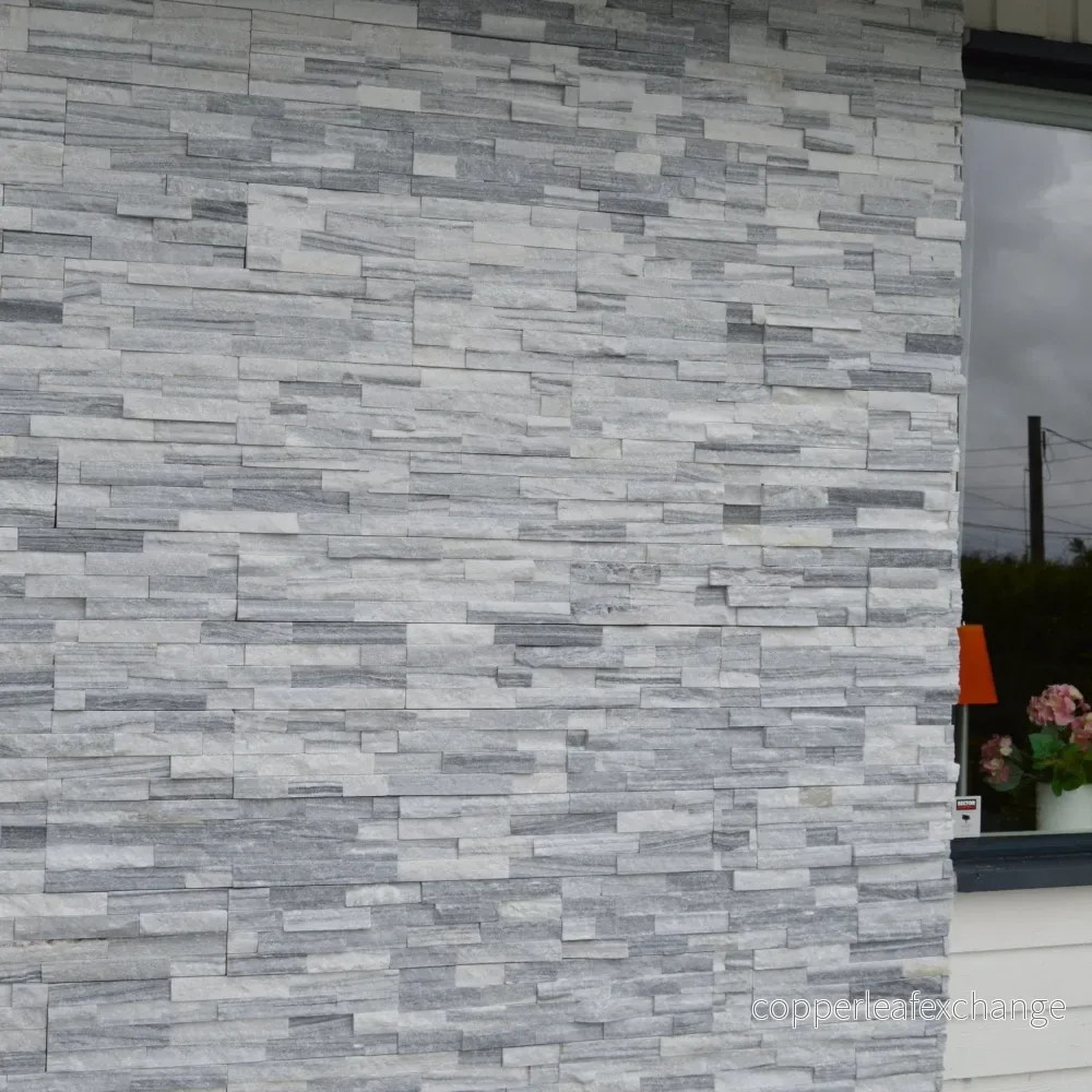 Stenpanel Gnejs Svalbard