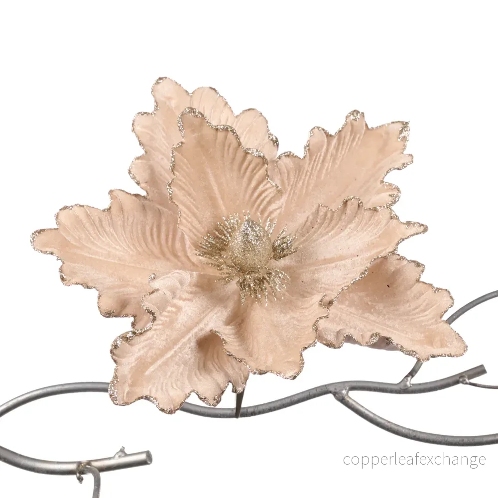 Magnolia