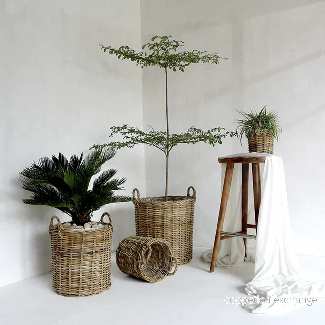 ATHENA Korg Rotting Set-4 Kubu Natur Ø50/40/30/20cm – Utekruka
