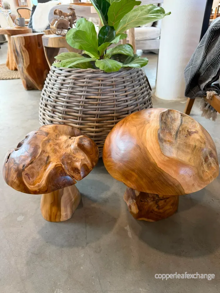 Jamur Dekorationssvampar i Teak – Handgjord Inredning - Bild 3