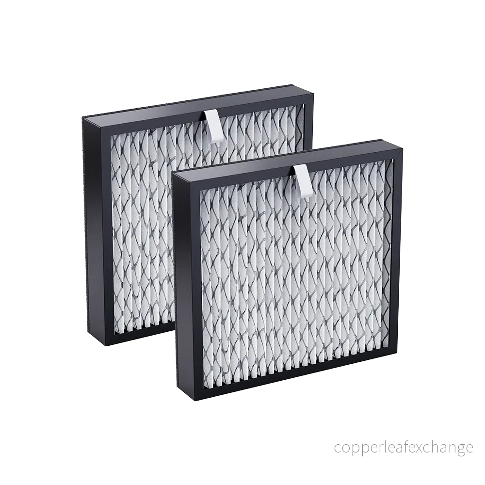 Guard Filter 2-pack