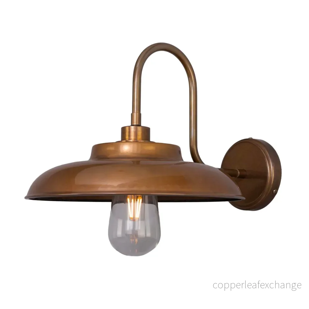 DARYA – Swan Neck Bathroom Wall Light 32cm IP65 DARYA – Swan Neck Bathroom Wall Light 32cm IP65