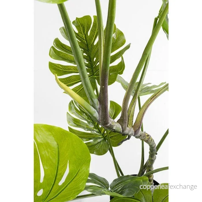 Konstväxt KARE DESIGN - MONSTERA, 110 cm - Bild 3