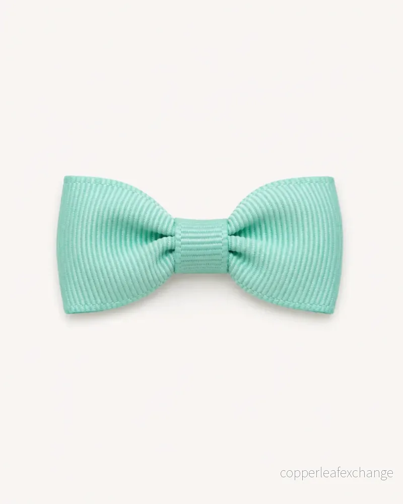 Liten hårrosett, mint Liten hårrosett, mint