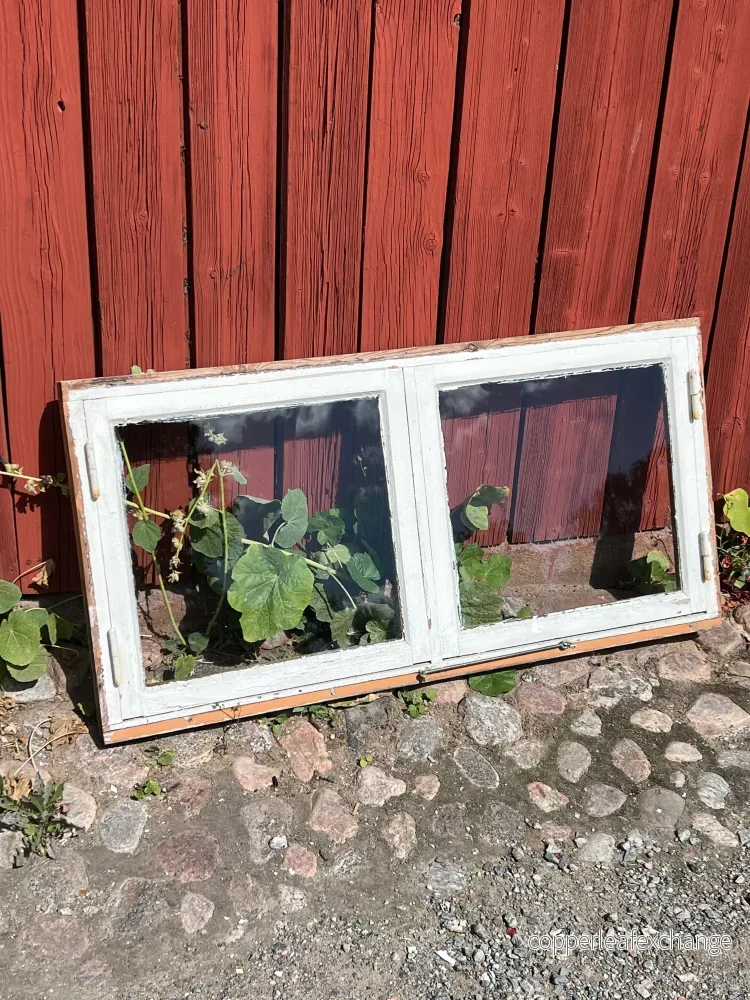 Fönster med karm 120×60
