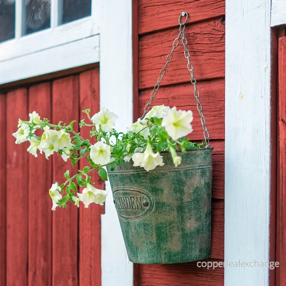 Väggampel ”Garden” – två varianter Väggampel ”Garden” – två varianter