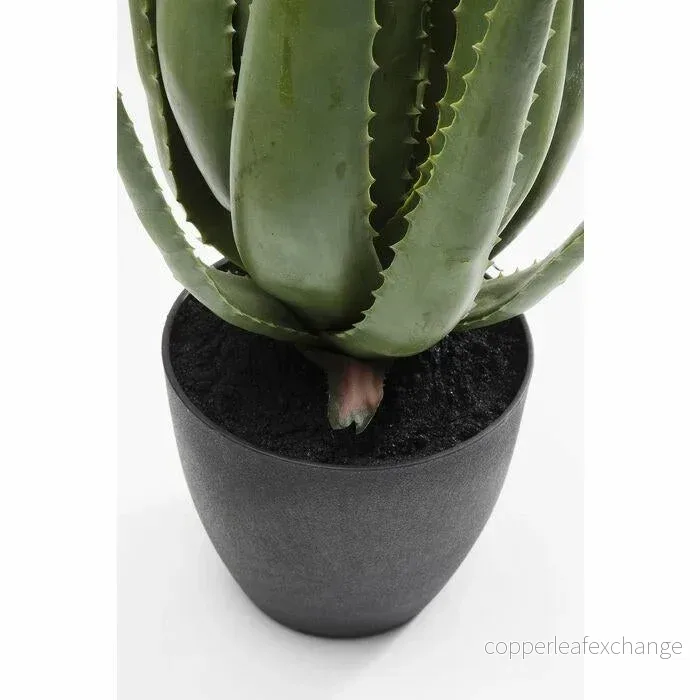 Konstväxt KARE DESIGN - ALOE, 69 cm - Bild 3