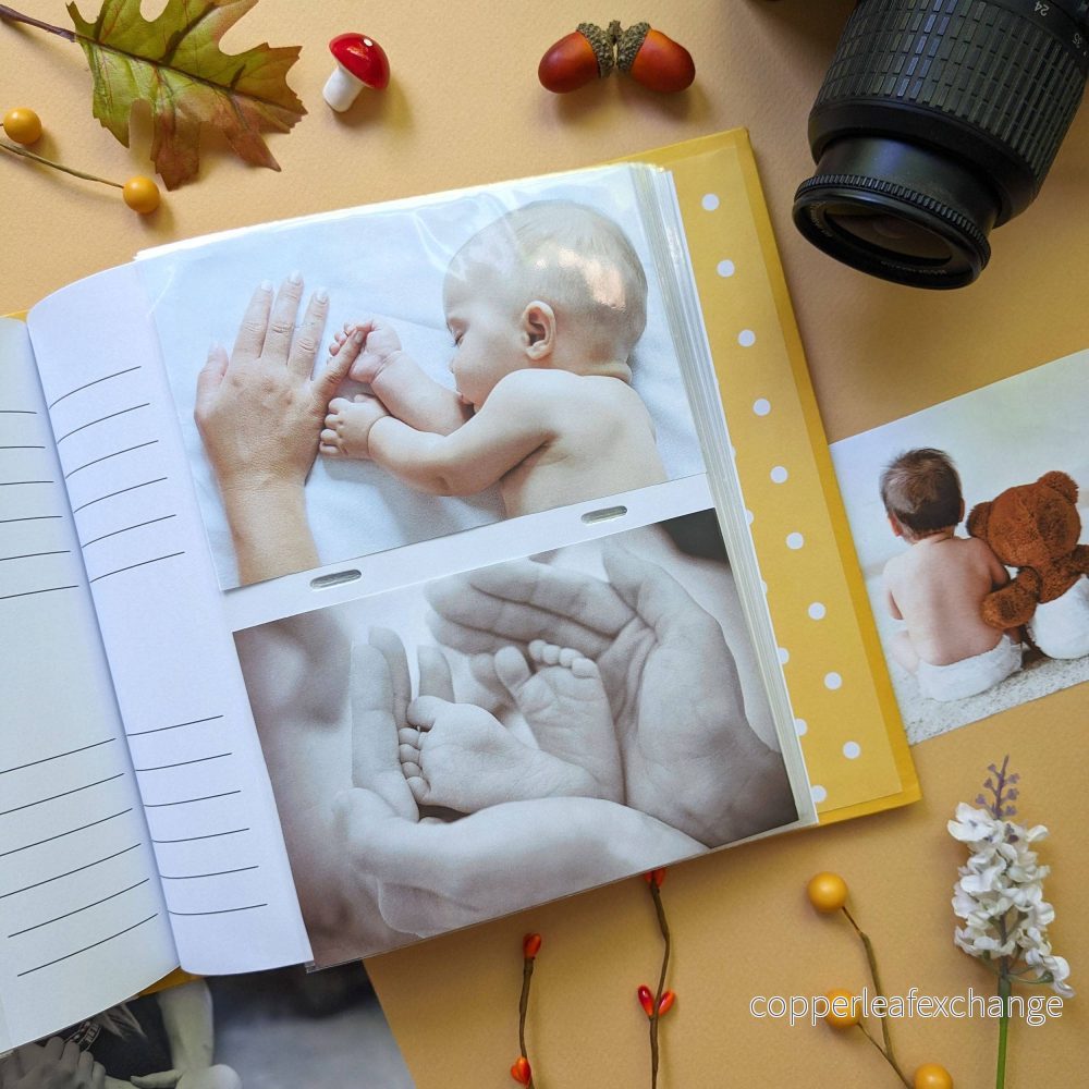 Jemima Puddle-Duck fotoalbum – Forest Picnic - Bild 2
