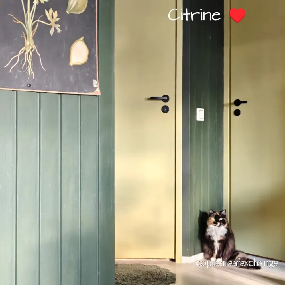 Citrine - ljus gulgrön Al Fresco möbelfärg - Bild 3