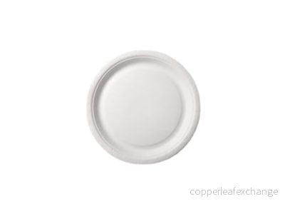 Tallrik 22cm papper (100x)