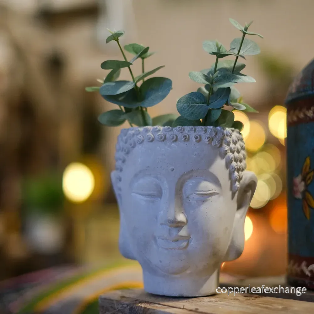 Liten Buddha-kruka Liten Buddha-kruka
