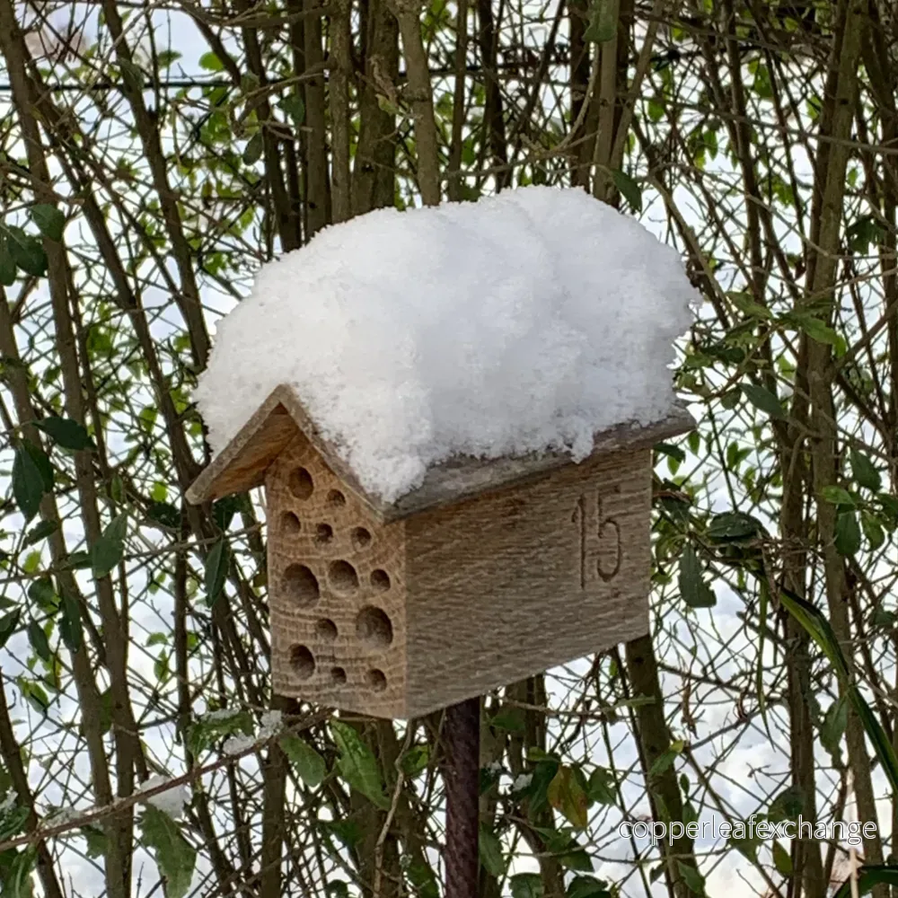 INSEKTSHYTTEN - Bild 2