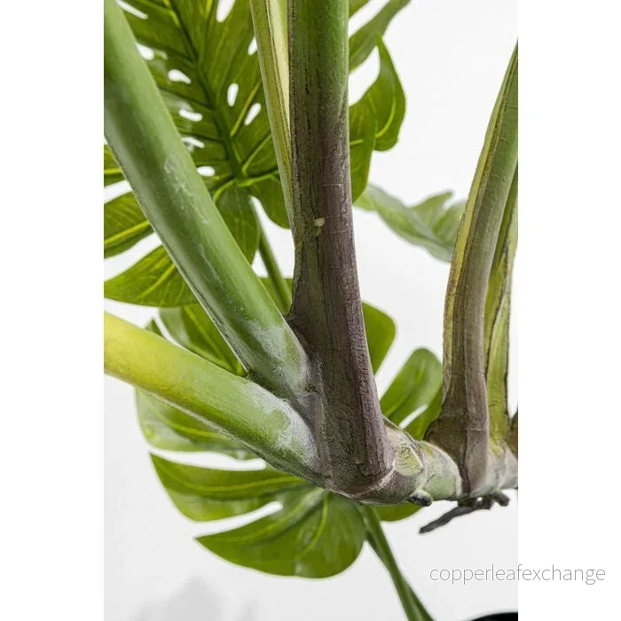 Konstväxt KARE DESIGN - MONSTERA, 110 cm - Bild 2