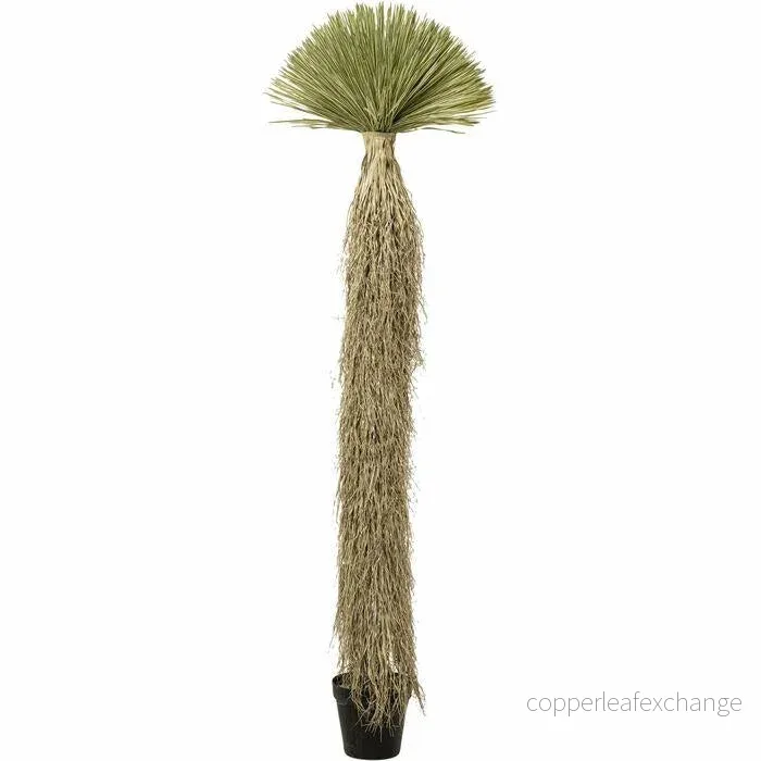 KARE dekoration växt YUCCA ROSTRATA 240 cm