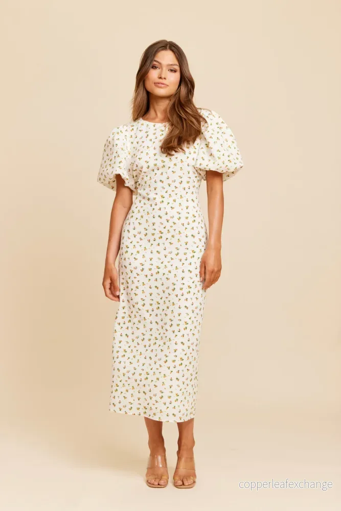 Dry Lake Liz Long Dress