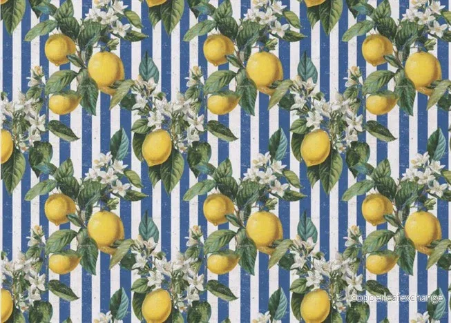 Citron och blåvita ränder - enskilda decoupage konstark - Bild 2
