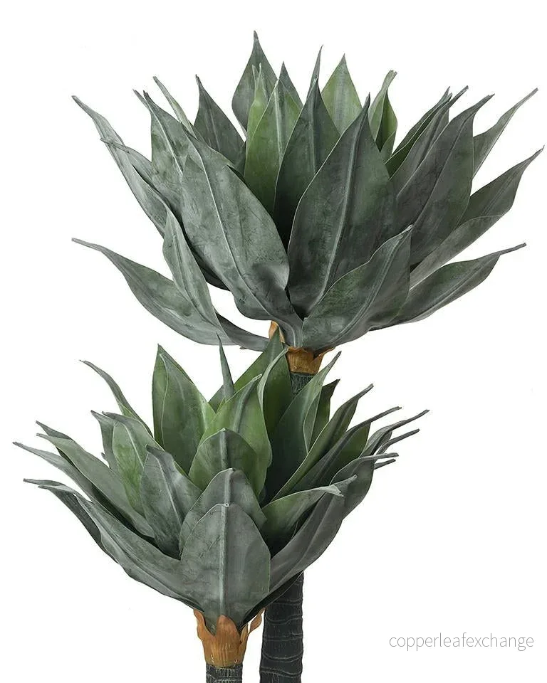 KARE dekorativ växt AGAVE 120 cm - Bild 2