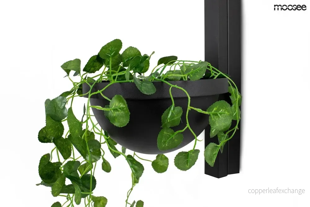 Vägglampa MOOSEE - PLANT WALL, svart - Bild 2