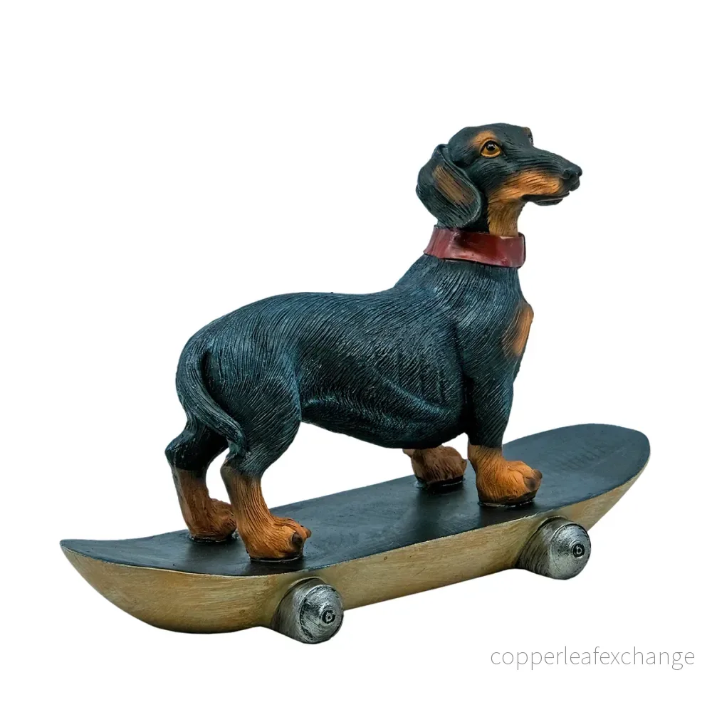Hund på skateboard - Bild 3