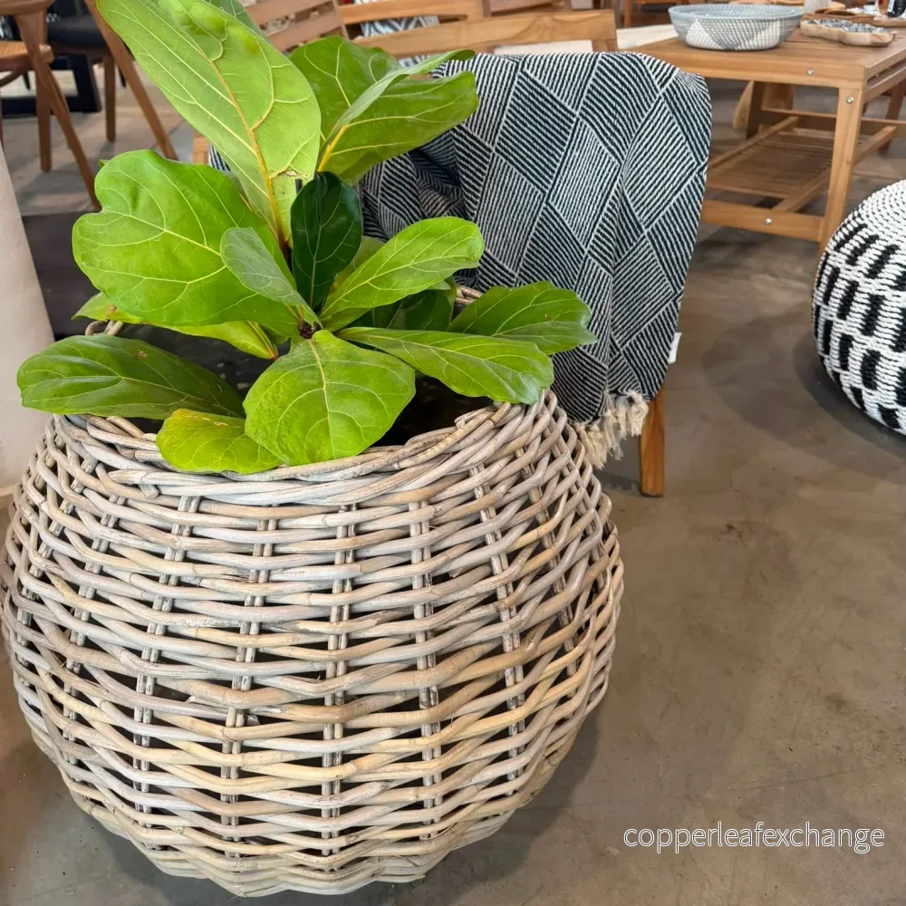 Athena Eleganta Korgar i Kubu Rattan – Set om 2 Natur - Bild 2
