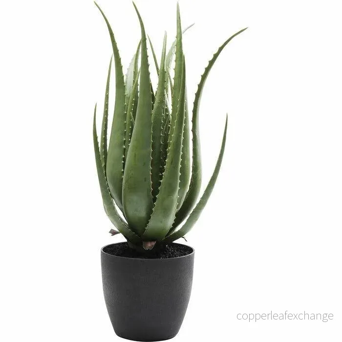 Konstväxt KARE DESIGN – ALOE, 69 cm Konstväxt KARE DESIGN – ALOE, 69 cm