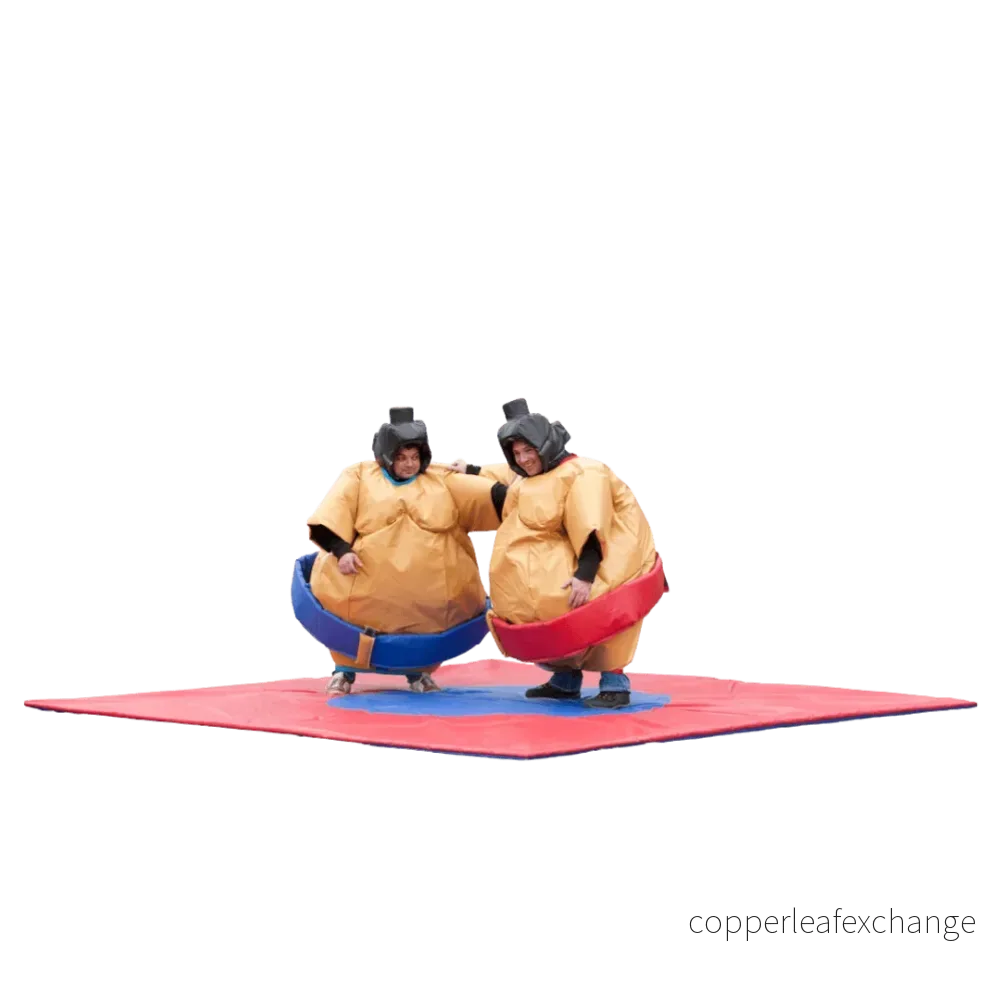 Sumofight – för vuxna & barn Sumofight – för vuxna & barn