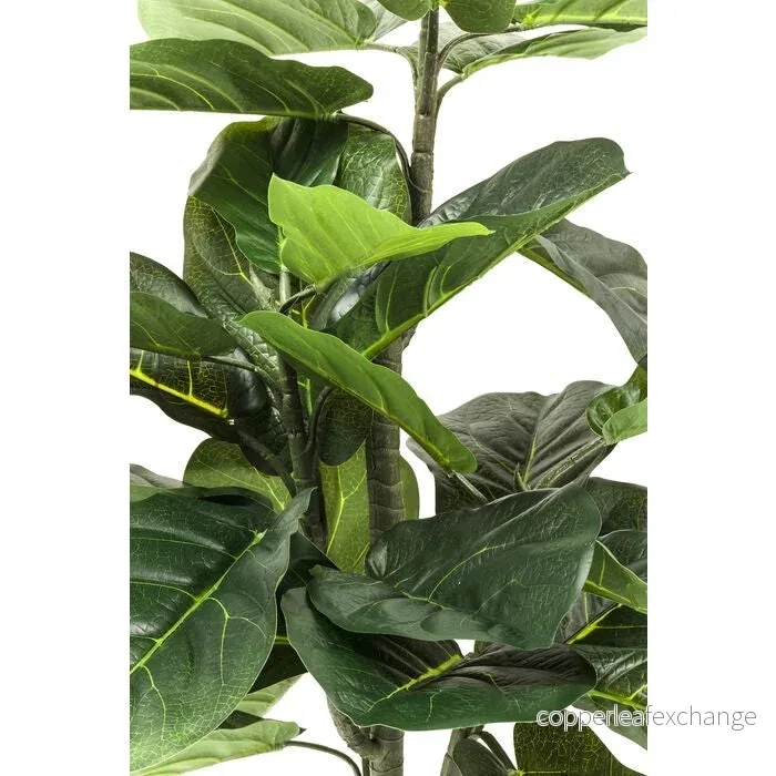 Konstväxt KARE DESIGN - FIDDLE LEAF, 120 cm - Bild 2