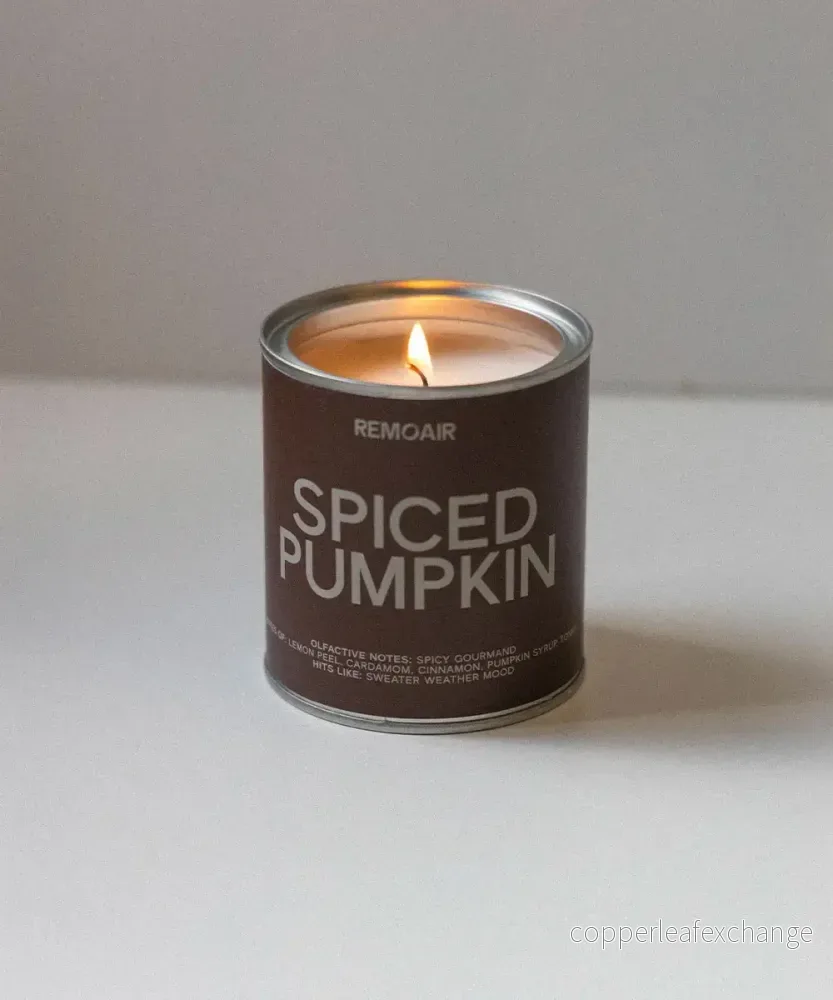 Spiced Pumpkin - doftljus - Bild 2