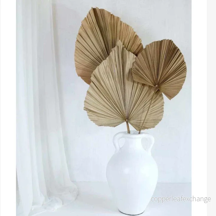 Torkade Palmblad – Naturlig Dekoration från Bali | 50-120 cm